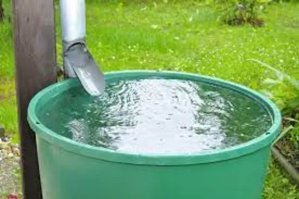 Understanding the Controversy Behind: Why is it Illegal to Collect Rainwater