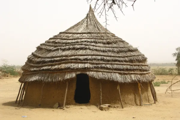 Fun Facts About Niger