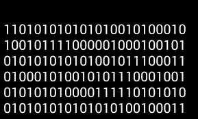 binary code 1101010101010100