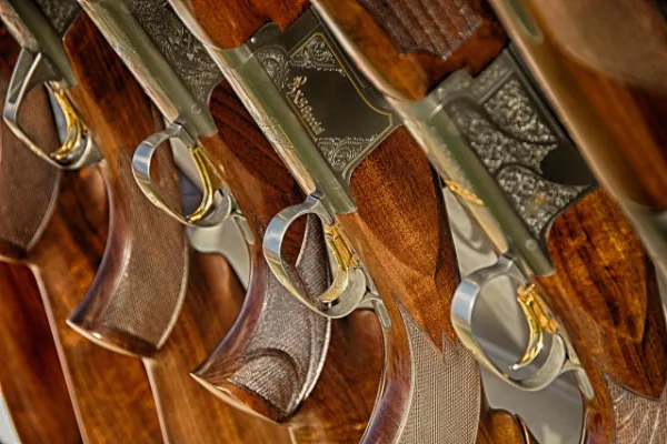 guns hunting gear