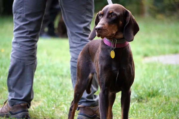 Essential Hunting Safety Tips: Stay Safe and Enjoy the Outdoors