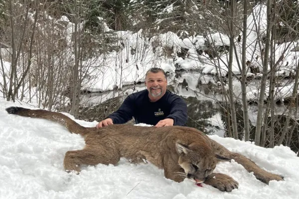 A hunter kneels behind a harvested mountain lion lying in the snow next to a partially frozen stream, with snow-covered trees in the background.