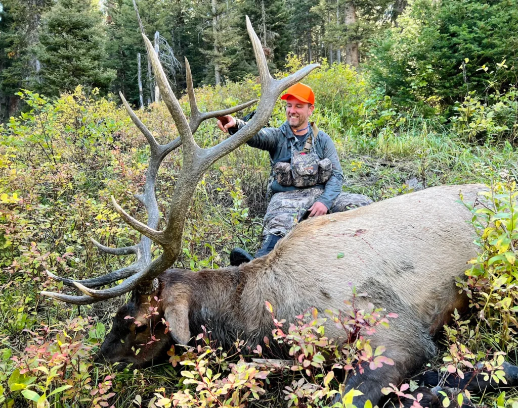 A smiling hunter in camouflage and an orange hat sits beside a large, harvested bull elk with impressive antlers, surrounded by dense foliage in a forest.