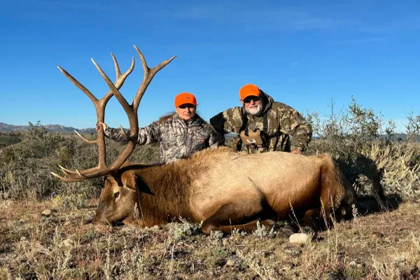 Two hunters, a man and a woman in camouflage and orange hats, pose proudly behind a large, harvested bull elk with impressive antlers, lying on dry, rocky ground under a clear blue sky.