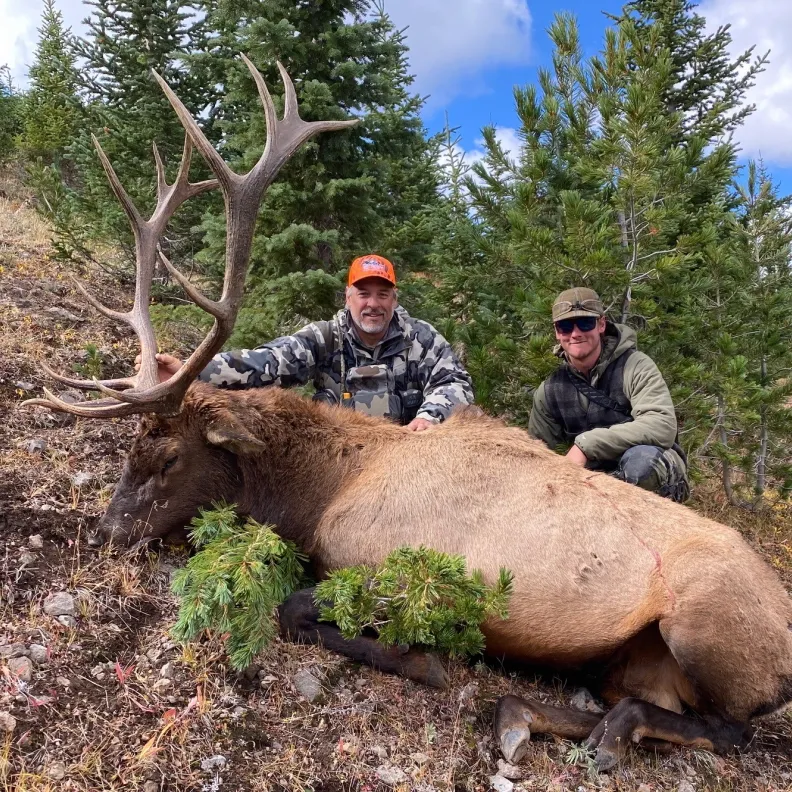 Two hunters, one in camouflage and an orange hat, and another in green, kneel beside a large, recently harvested bull elk with impressive antlers in a forested, mountainous setting.